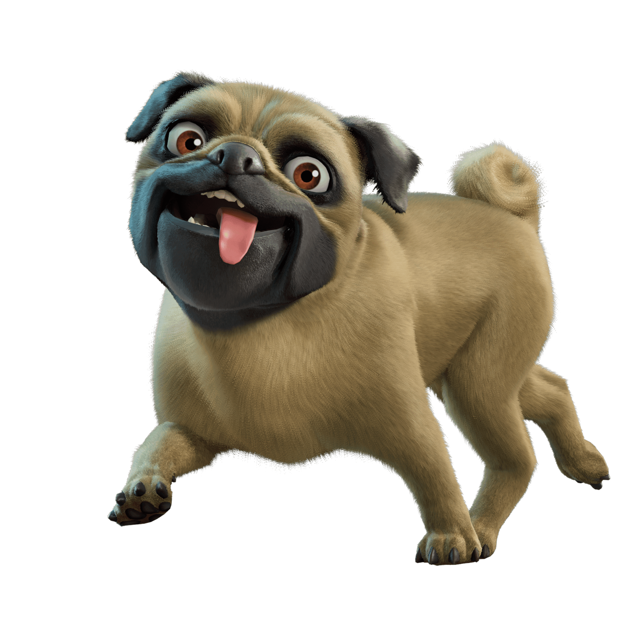 Doggo Jr.