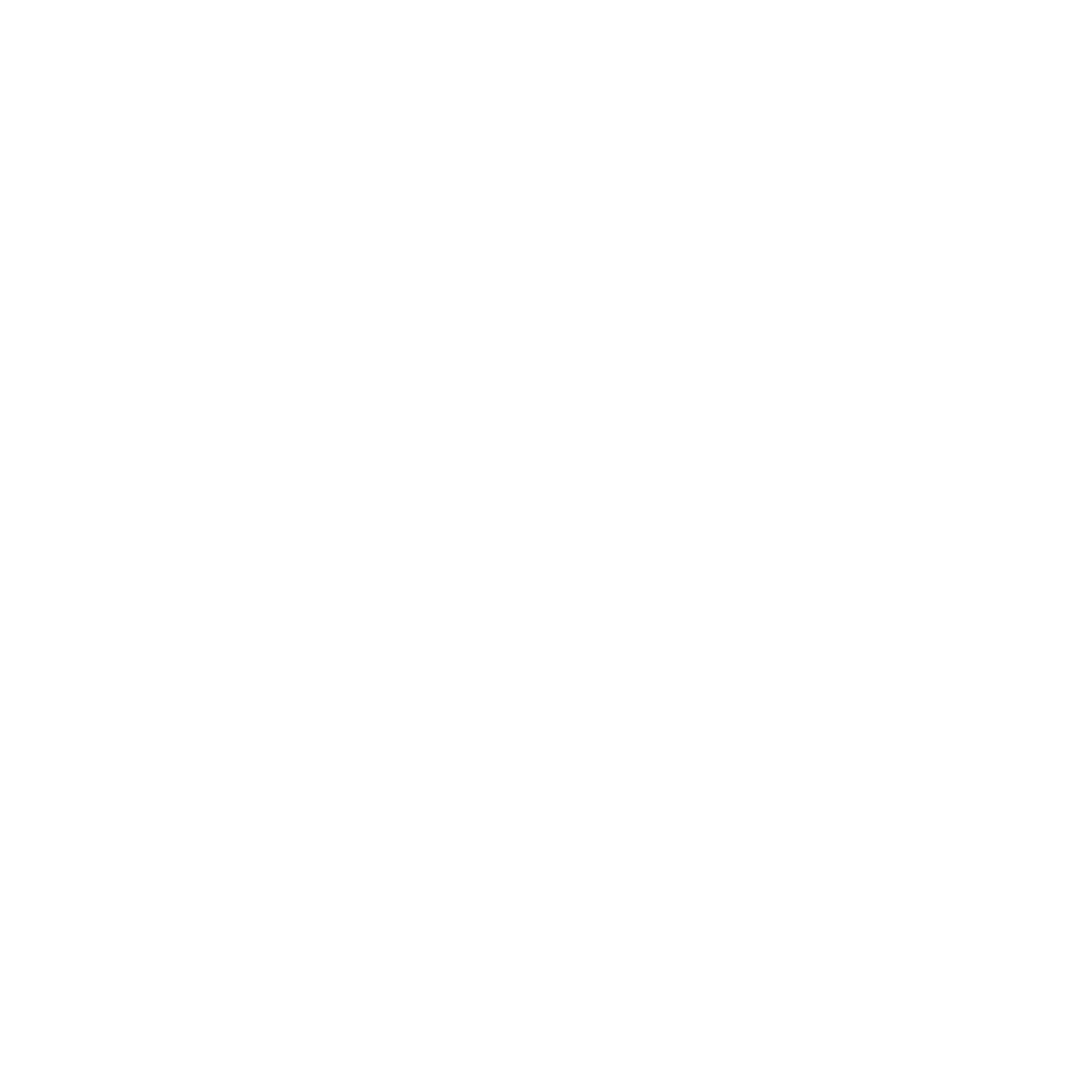 The Quick Style